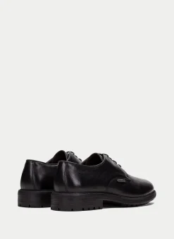 Blucher  negro*HISPANITAS Best