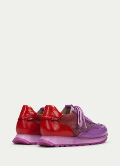 Deportivo loira violet-rojo*HISPANITAS Best